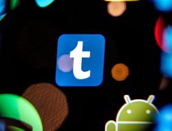 Tumblr Users Are Wary of People Coming From Twitter