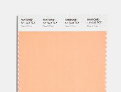 Pantone’s Color of the Year for 2024 Is Peach Fuzz