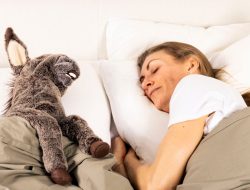 Emotional Support Stuffed Animals or Blankets: Sharing Space With a Partner Who Has Stuffies or Blankies