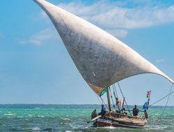 In Kenya, Seeing the Sites by Dhow